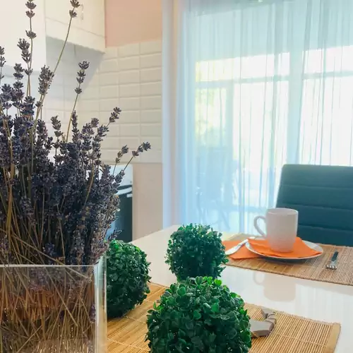 Tóparti Apartmanház Balatonszárszó 028 kép