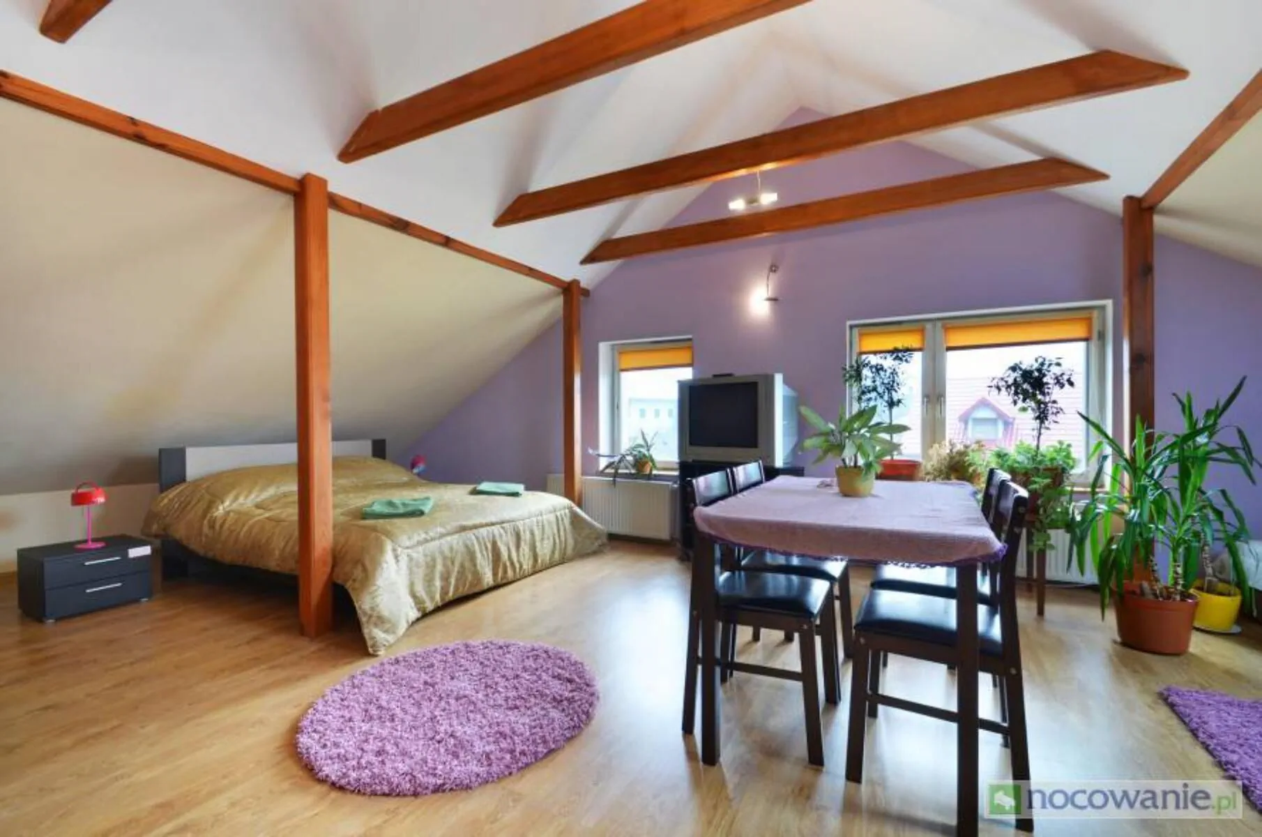 Odpoczynek nad Potokiem Kazimierz Dolny