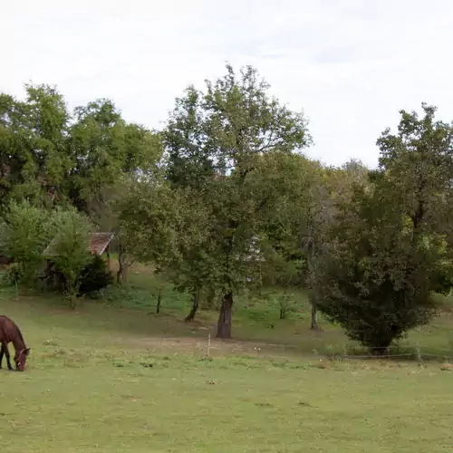 Őrségi Fecskefészek Vendégház Őriszentpéter 039 kép