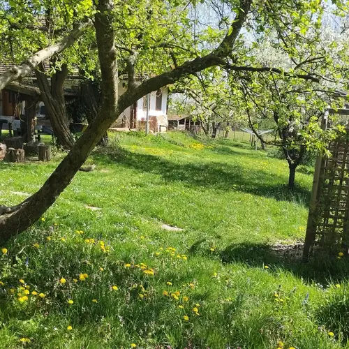 Őrségi Fecskefészek Vendégház Őriszentpéter 056 kép