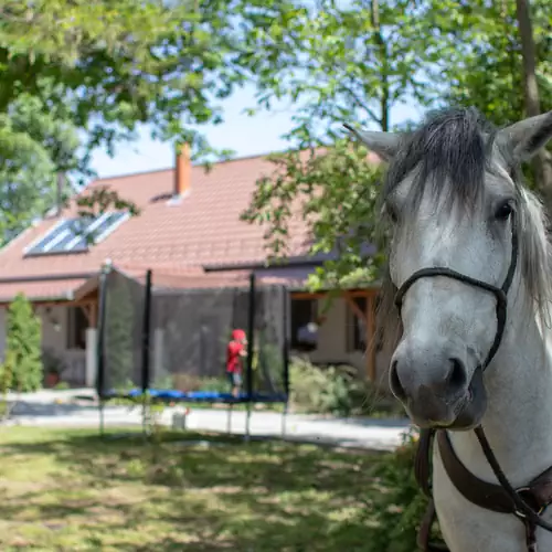 Tölgyfa Vendégház Kiskőrö 006 kép