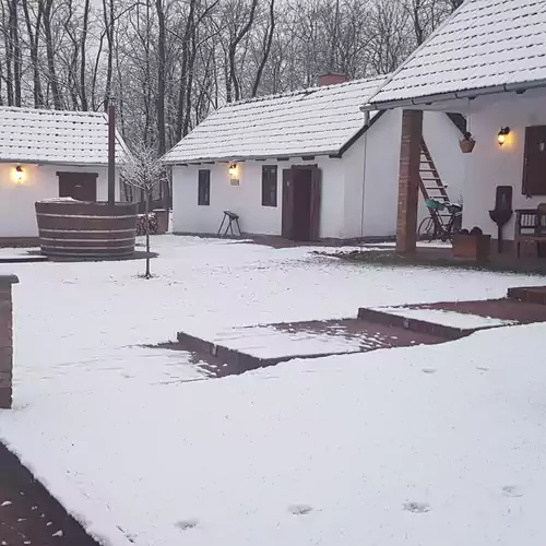 Inczédi Tanya Ladánybene 019 kép