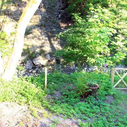 F&eacute;nyk&eacute;p a kertről