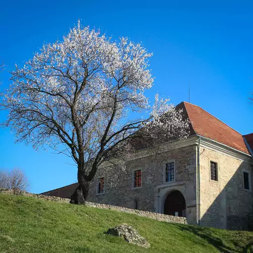 István Király Szálló Pécsvárad 003 kép