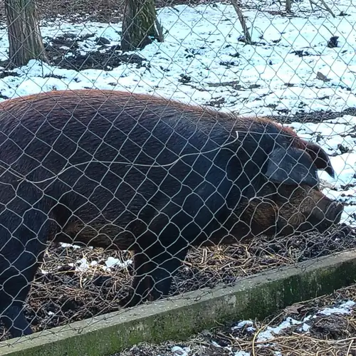 Lipi-Akácliget Vendégház Ófehértó 023 kép