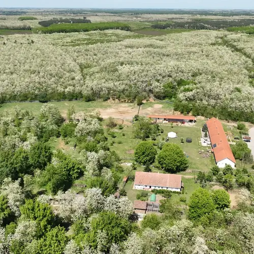 Lipi-Akácliget Vendégház Ófehértó 029 kép