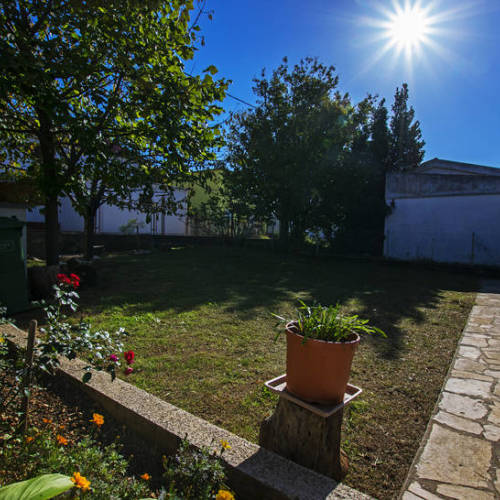 Apartmani Nekić Seline  4