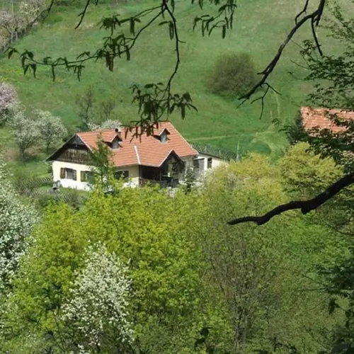 K&eacute;p az &eacute;p&uuml;letről