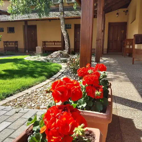Gellény Lux Apartman Gyula 016 kép