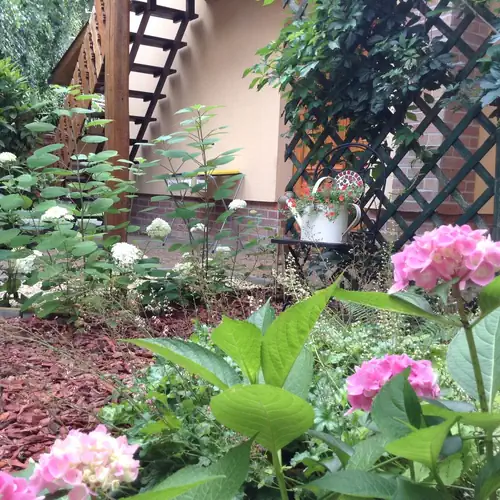Gellény Lux Apartman Gyula 018 kép