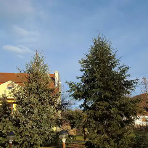 Cserhátvölgy Panzió Alsótold 030 kép