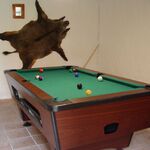 Wellness section, relaxation
