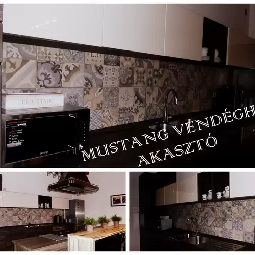 Mustang Vendégház Akasztó 015 kép