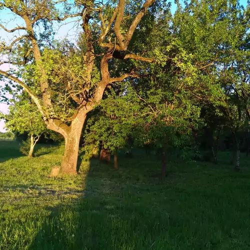 Őrségi Lak-Tanya Viszák 021 kép