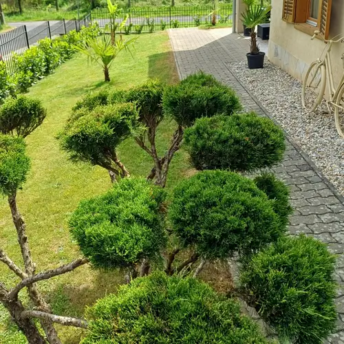 Mediterran-Balog Apartman Zalakaro 022 kép