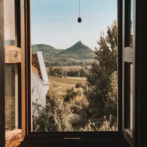 Kil&aacute;t&aacute;s a Natura h&aacute;l&oacute;b&oacute;j&aacute;b&oacute;l