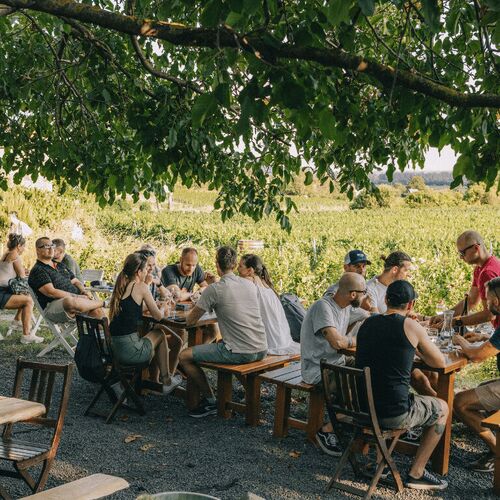 A vend&eacute;gh&aacute;zakhoz k&ouml;zel esik a vinot&eacute;k&aacute;nk, &uuml;lj be egy poh&aacute;r borra a di&oacute;fa al&aacute;
