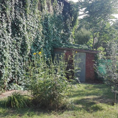 Jóna Apartman Badacsonytomaj  3