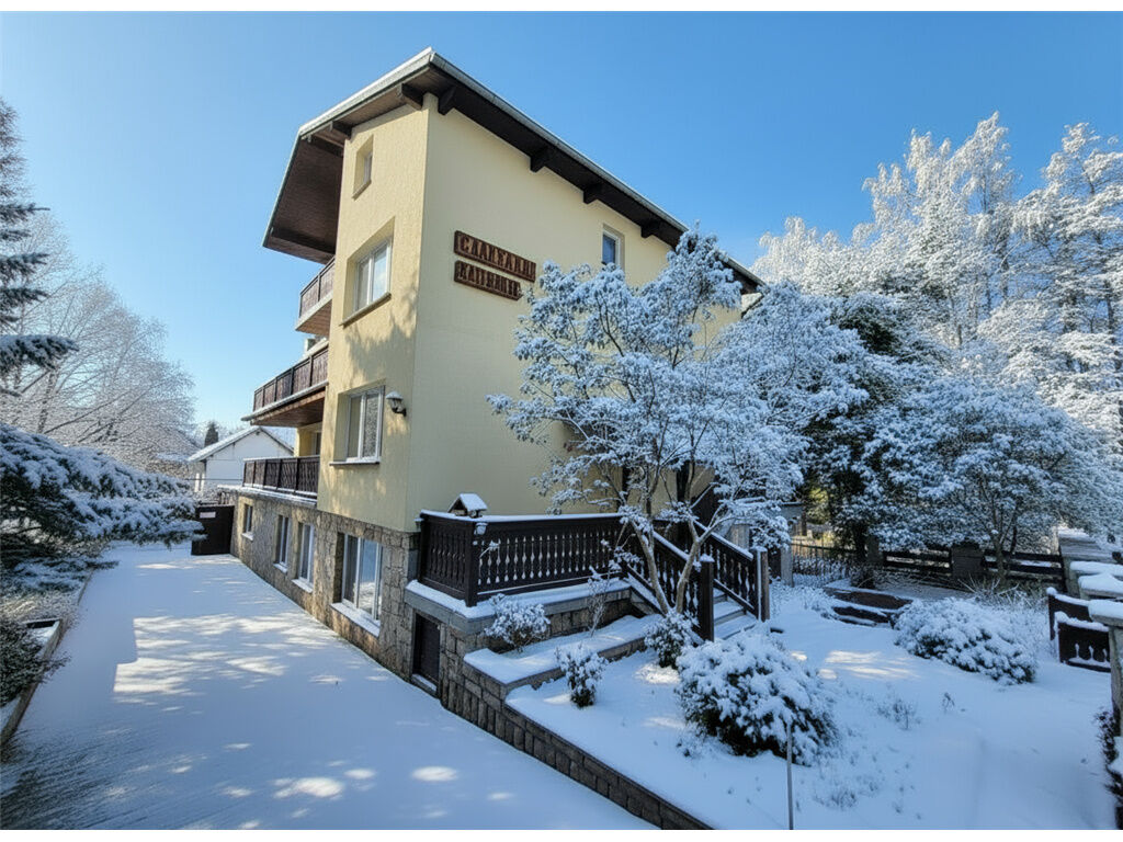 Willa Elżbieta Karpacz