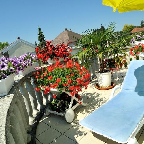 Steinhaus Bed & Breakfast Keszthely  3