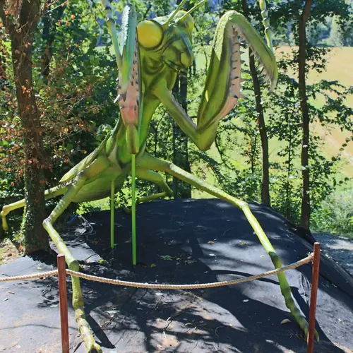 park gigantycznych owad&oacute;w