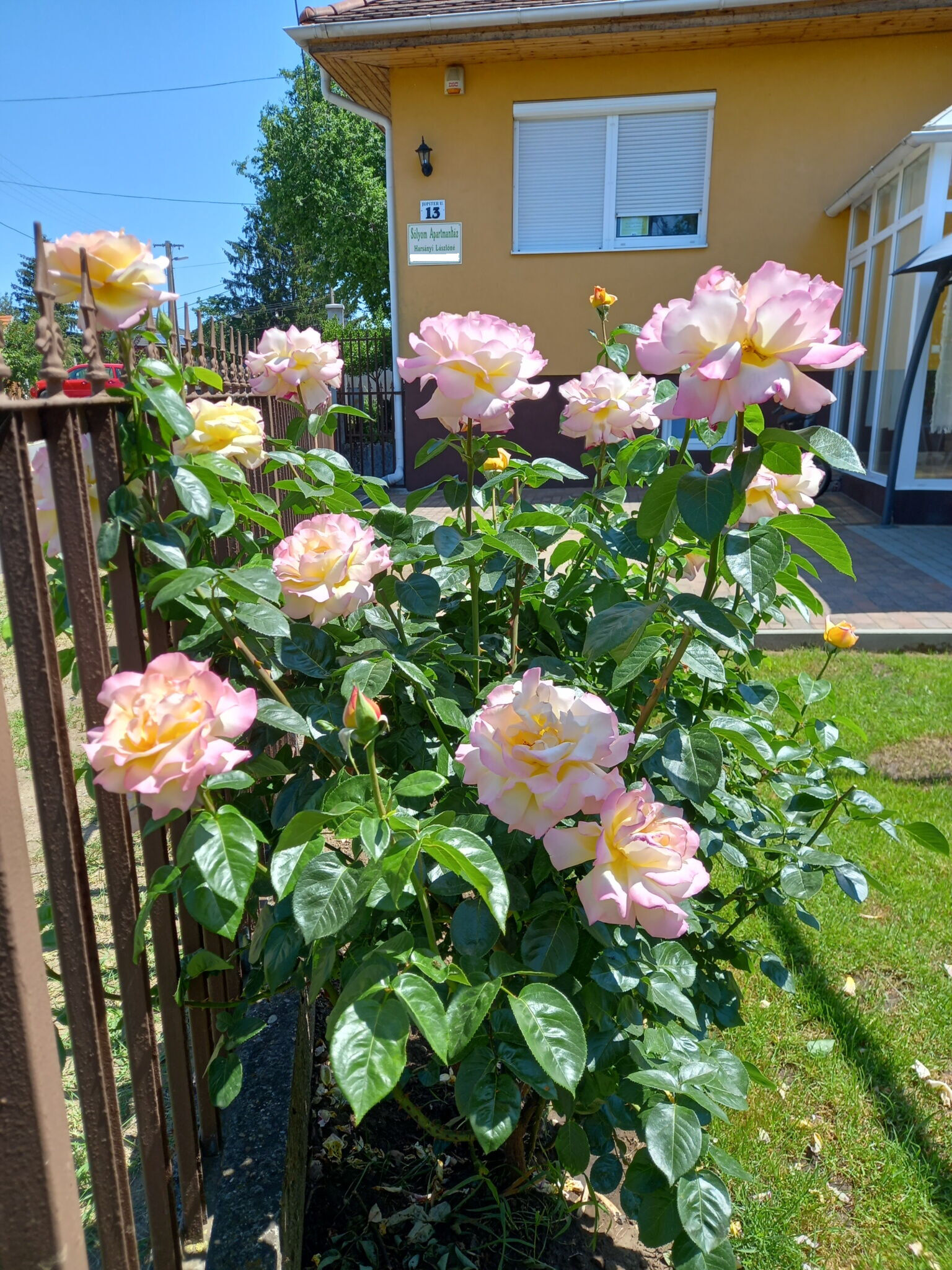Sólyom Apartmanház Nyíregyháza
