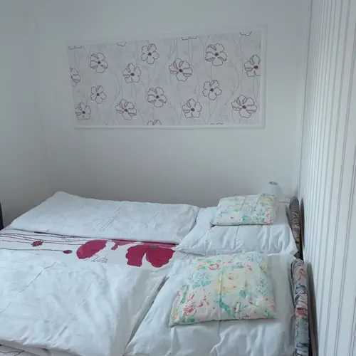 h&aacute;l&oacute;-2