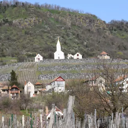 Bagdal-Vino Vendégház Somlójenő 008 kép