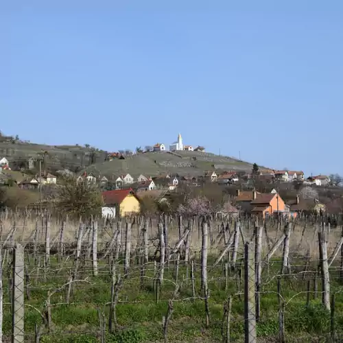 Bagdal-Vino Vendégház Somlójenő 010 kép