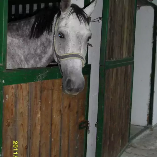 Silver Horse Ranch Béké 002 kép