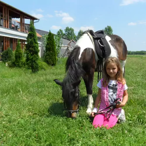 Silver Horse Ranch Béké 005 kép