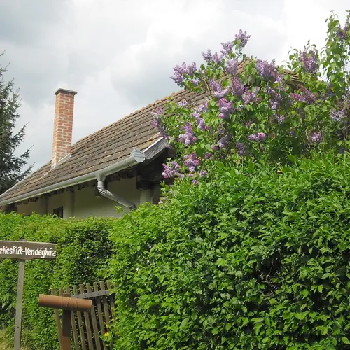 A h&aacute;z az utc&aacute;r&oacute;l