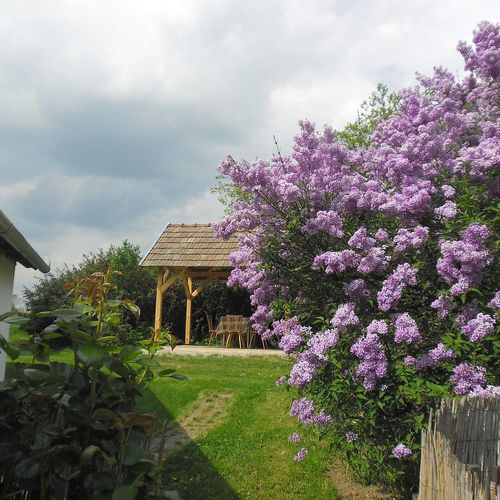 Az udvar tavasszal