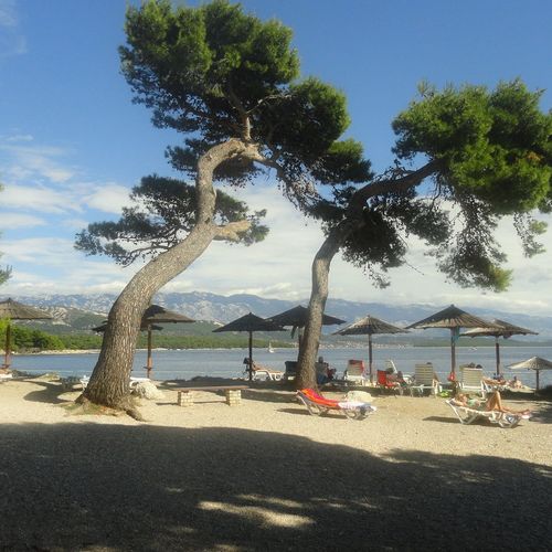 Apartman Loggia Rab  3