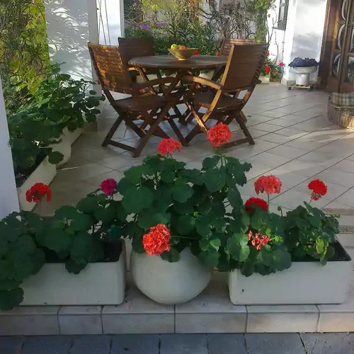 Elizabeth Apartman Siófok 004 kép
