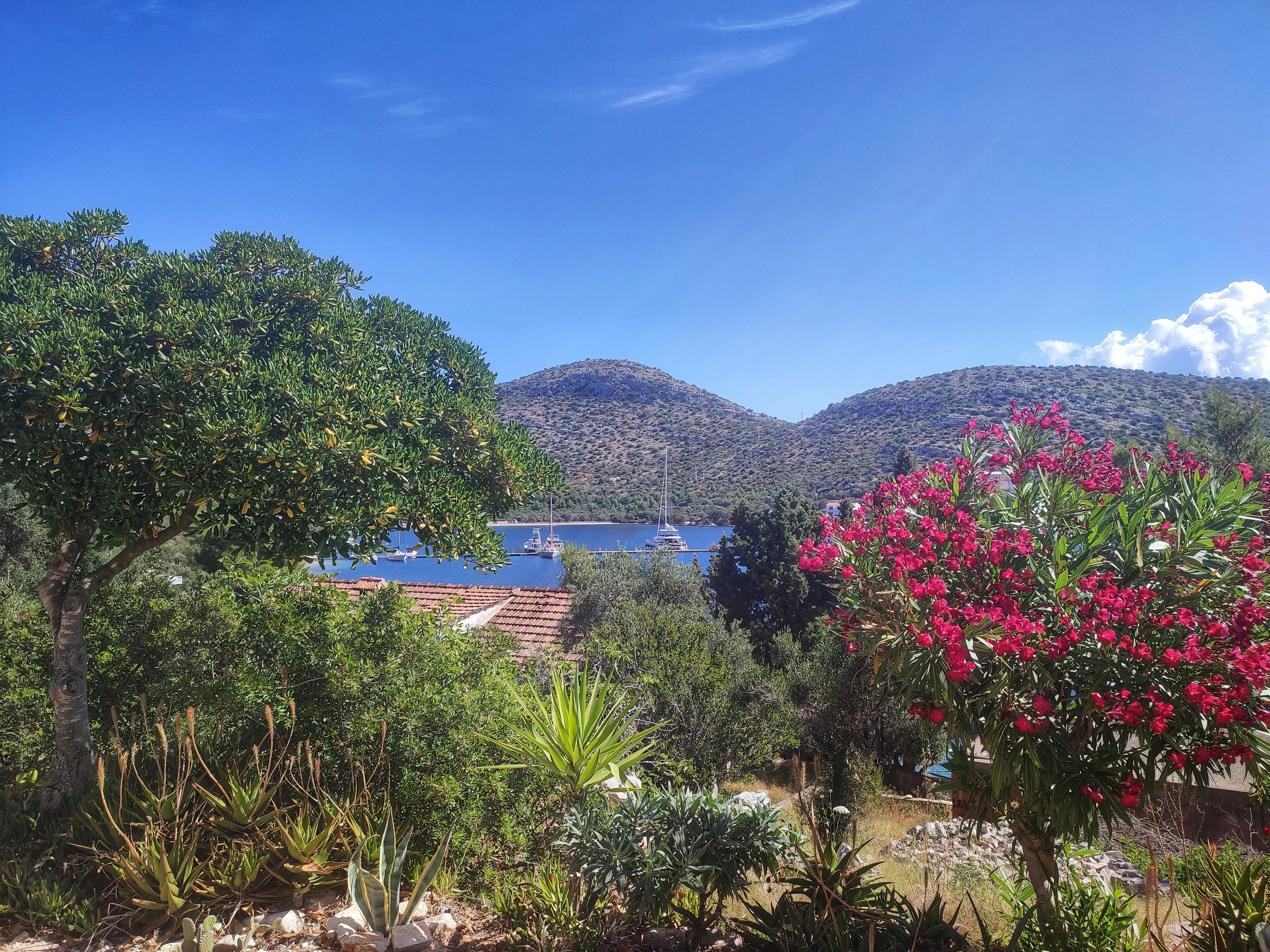 Apartments Vesna Skrivena Luka