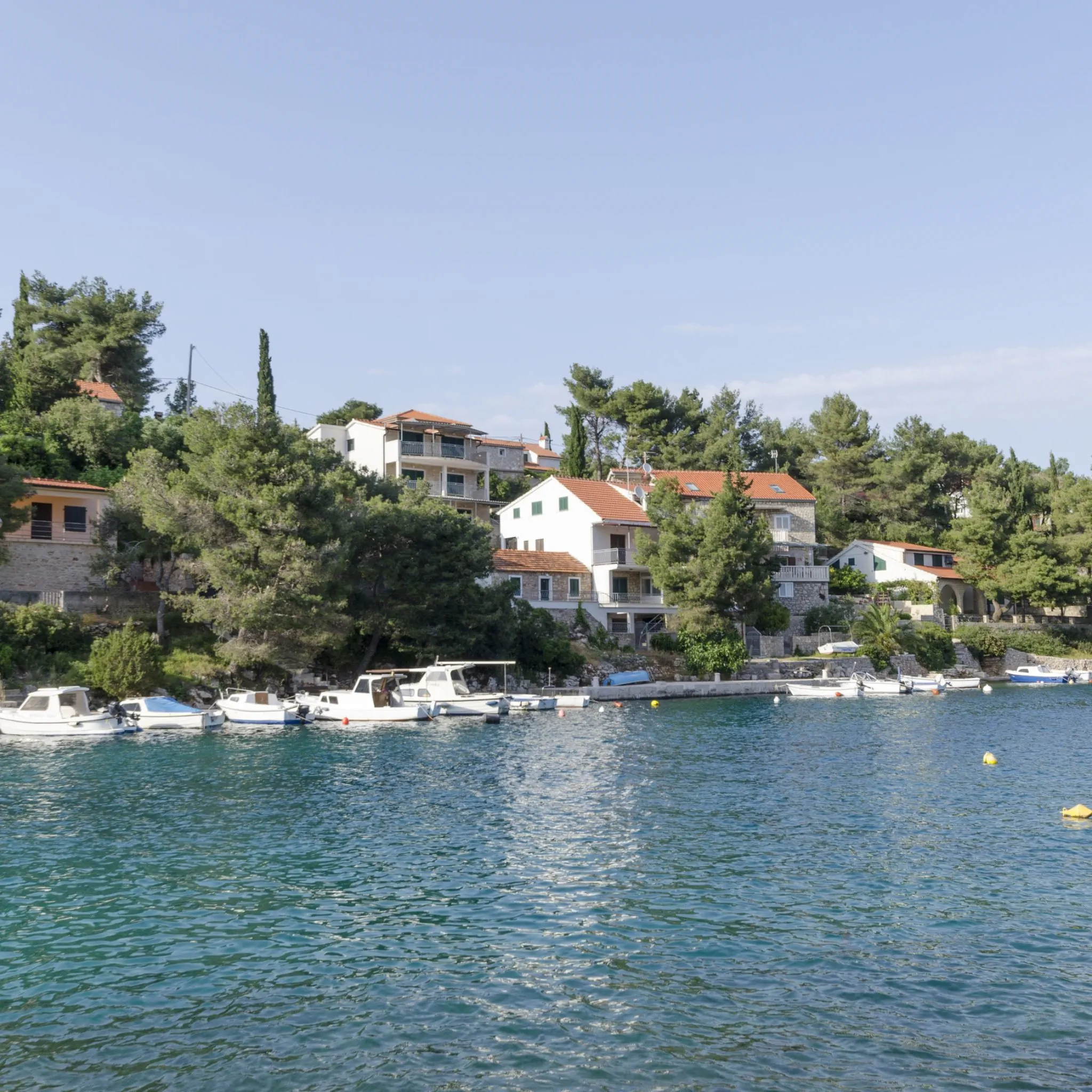 Apartment Ivo Basina