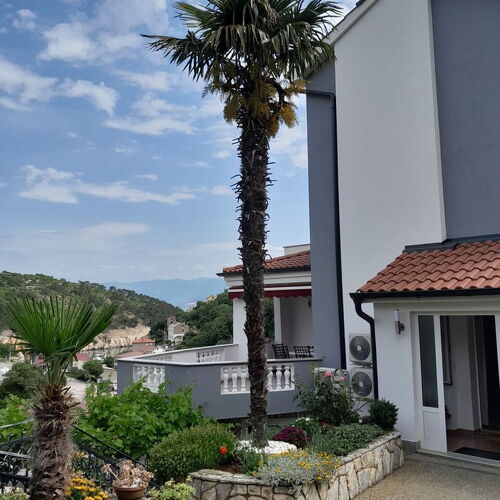 Apartment Branko Vrbnik  2