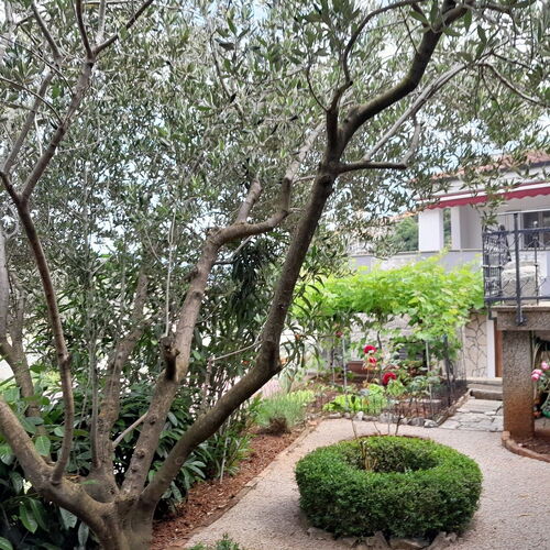 Apartment Branko Vrbnik  3