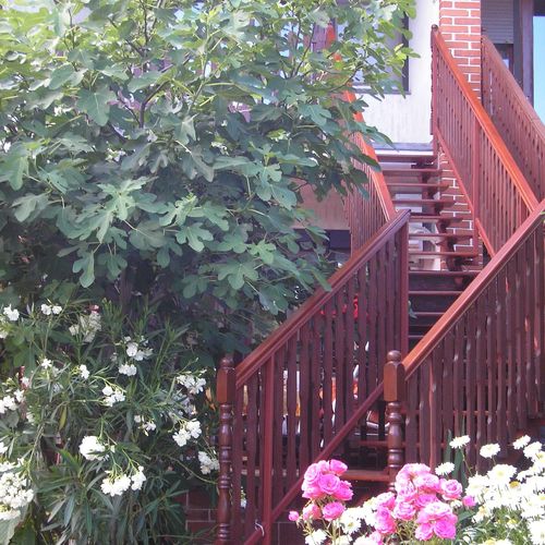 Dencs Apartman Siófok  2