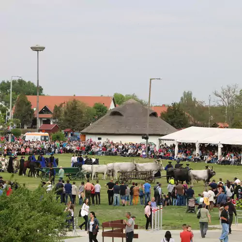 Hortobágyi Kemencés Vendégház 025 kép