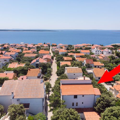 Apartments Ante Mandre  2