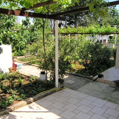 Apartments Pavicic Krk  3