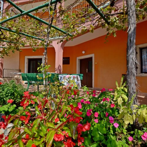 House Anton Barbariga  4