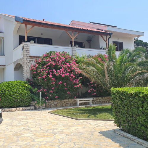 Apartments Ivo Pag  3