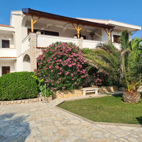 Apartments Ivo Pag  4
