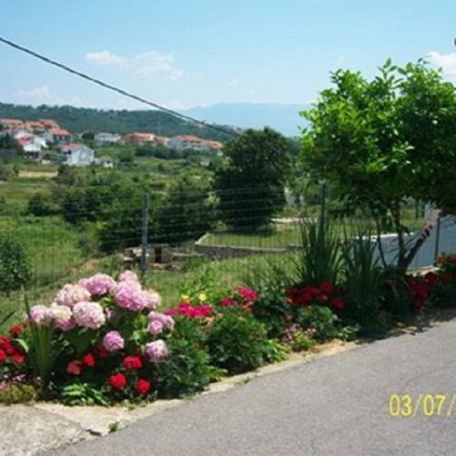 Apartments Marina Lopar  3