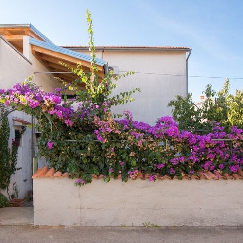 Apartments Anita summer Vodice  4