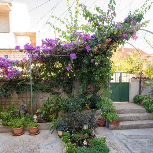 Apartments Anita summer Vodice  3