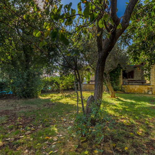 Apartments Milivoj Seget Vranjica  3